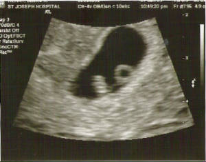 scan0001.jpg