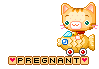 kittycar.gif