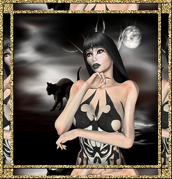 mooncatdisplay.jpg