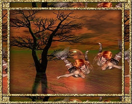 orangebeautydisplay.jpeg